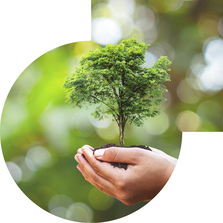 關懷人類、文化、環境與社會